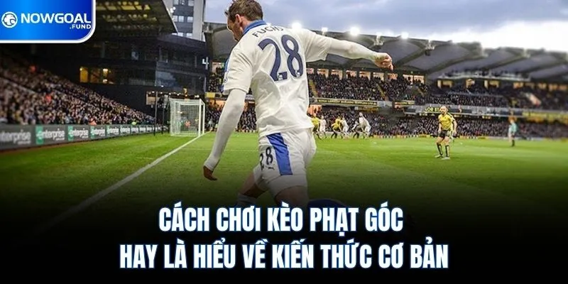 Cách chơi kèo phạt góc hay là hiểu về kiến thức cơ bản